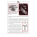 The Genesis of Air Power