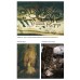 Caves and Speleology in Bulgaria