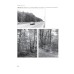 Ecology of the City of Sofia. Species and Communities in an Urban Environment